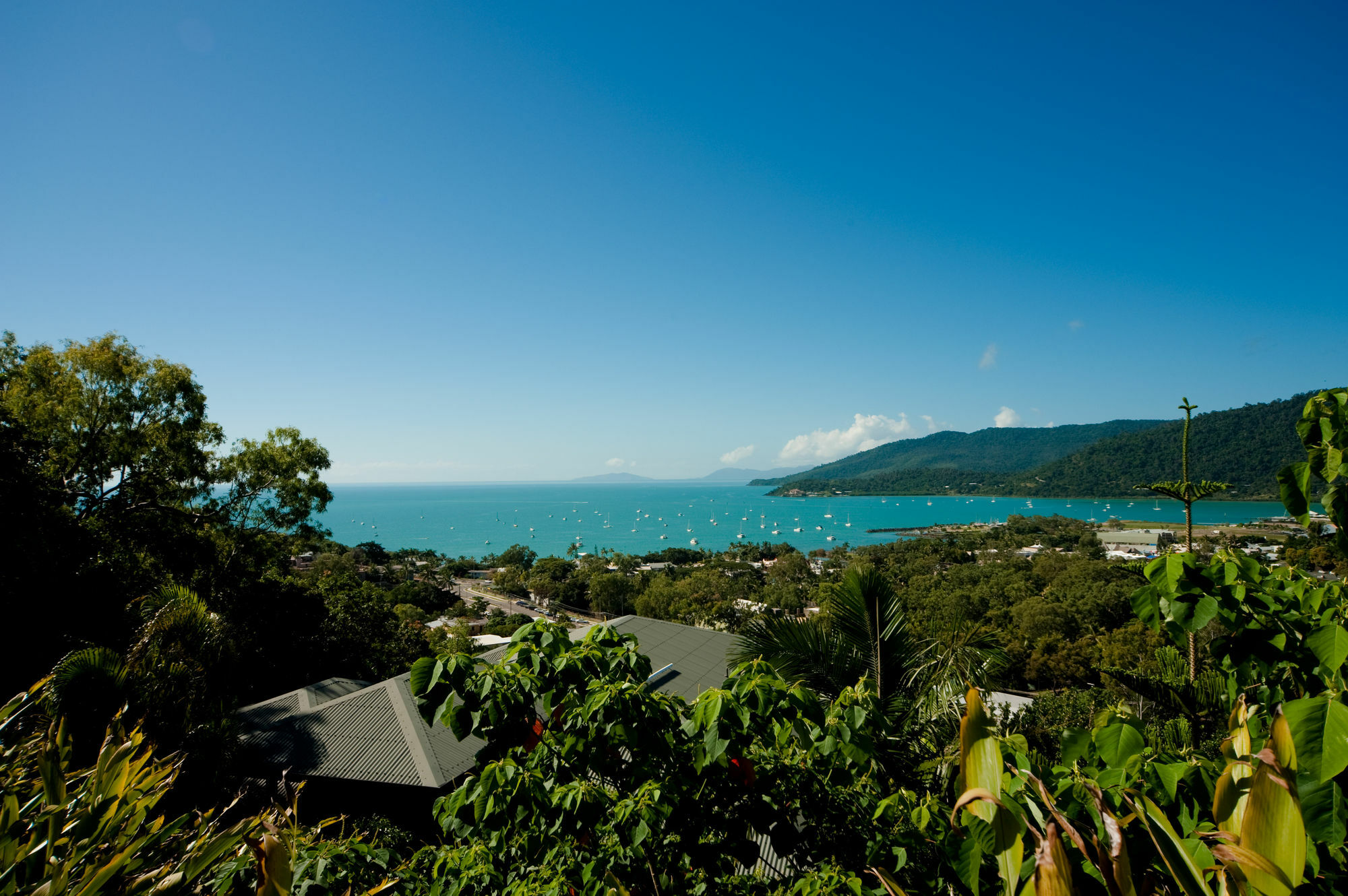 Sea Star Apartments Airlie Beach Ngoại thất bức ảnh